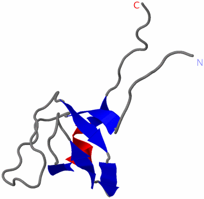 Image NMR Structure - model 1