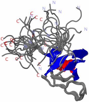 Image NMR Structure - all models