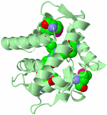 Image Biological Unit 2