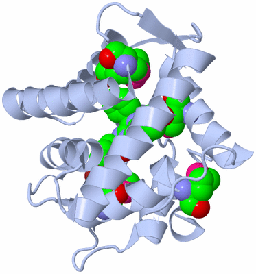 Image Biological Unit 1