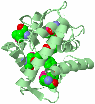 Image Biological Unit 2