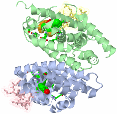 Image Asym./Biol. Unit - sites