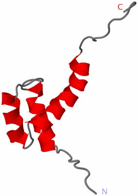 Image NMR Structure - model 1
