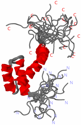 Image NMR Structure - all models