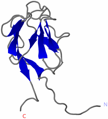 Image NMR Structure - model 1
