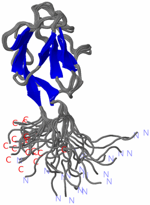 Image NMR Structure - all models