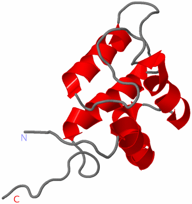 Image NMR Structure - model 1