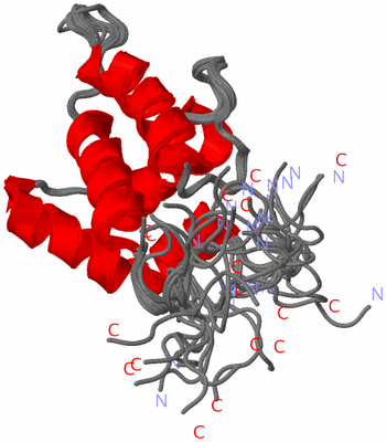 Image NMR Structure - all models