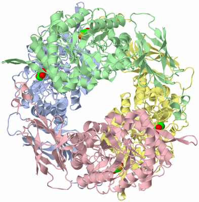 Image Asym./Biol. Unit