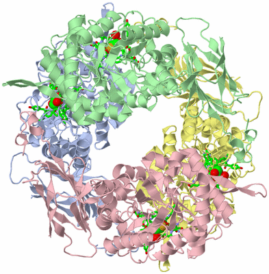 Image Asym./Biol. Unit - sites
