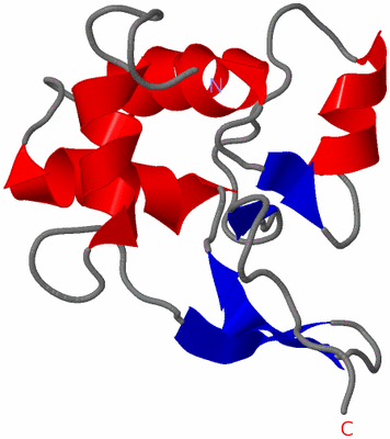 Image NMR Structure - model 1