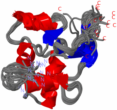 Image NMR Structure - all models