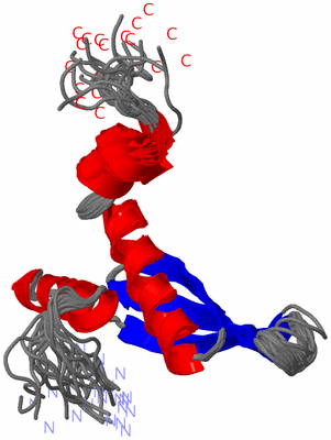 Image NMR Structure - all models