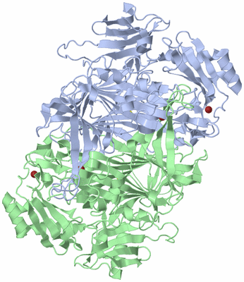 Image Asym./Biol. Unit