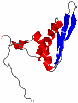 Image NMR Structure - model 1