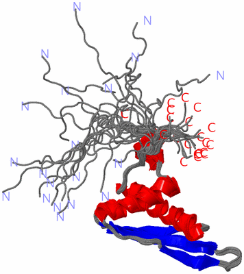 Image NMR Structure - all models