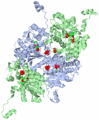 Image Biological Unit 2