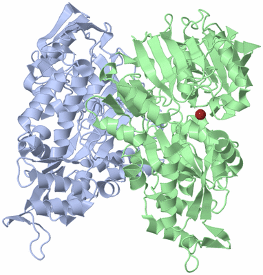 Image Asym./Biol. Unit