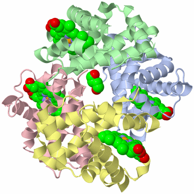 Image Biological Unit 1