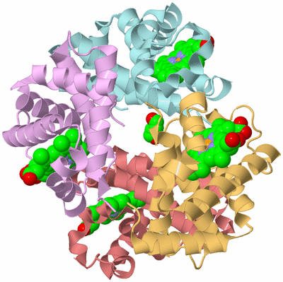 Image Biological Unit 2