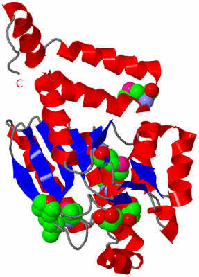 Image Asymmetric Unit