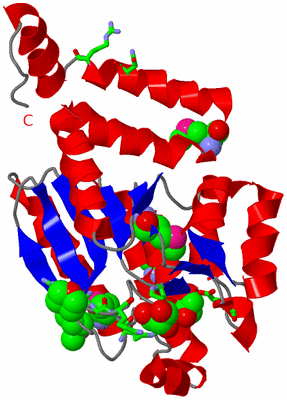 Image Asym. Unit - sites
