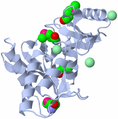 Image Biological Unit 1