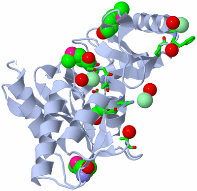 Image Biol. Unit 1 - sites