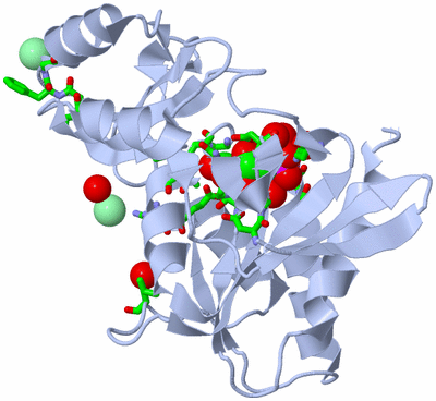 Image Biol. Unit 1 - sites