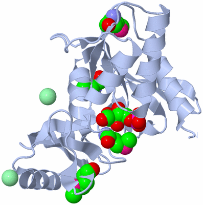 Image Biological Unit 1