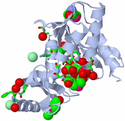 Image Biol. Unit 1 - sites