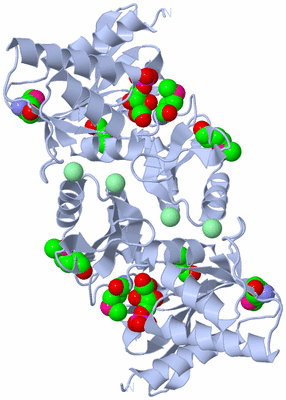 Image Biological Unit 2