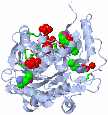 Image Biol. Unit 1 - sites