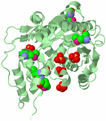 Image Biological Unit 2