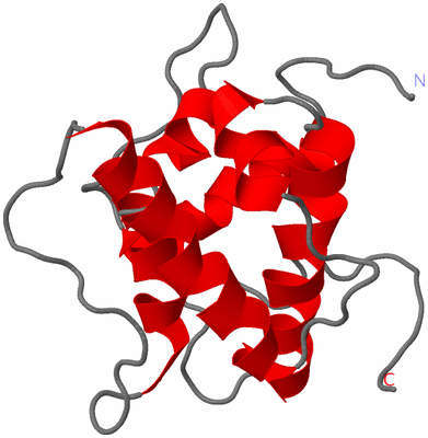Image NMR Structure - model 1