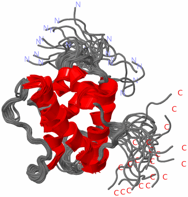Image NMR Structure - all models