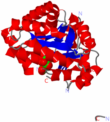 Image Asym./Biol. Unit