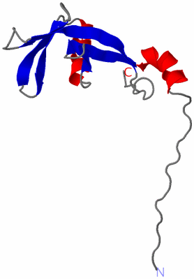 Image NMR Structure - model 1