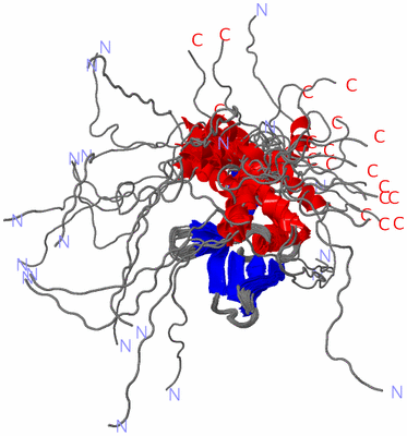 Image NMR Structure - all models
