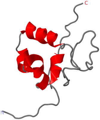 Image NMR Structure - model 1