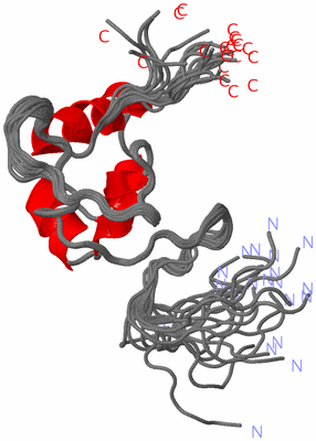 Image NMR Structure - all models