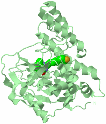 Image Biological Unit 2