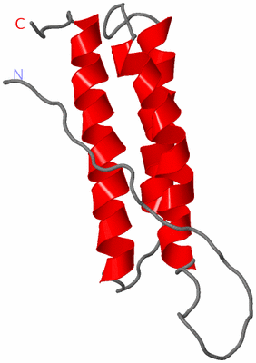 Image NMR Structure - model 1