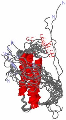 Image NMR Structure - all models