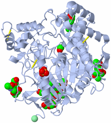 Image Biological Unit 1