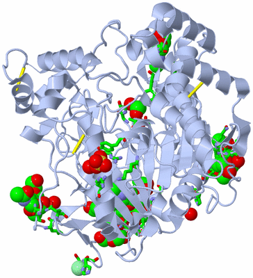 Image Biol. Unit 1 - sites