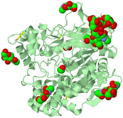 Image Biological Unit 2