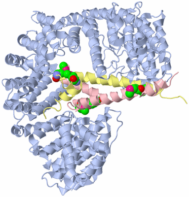 Image Biological Unit 1