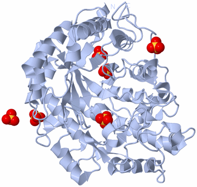 Image Biological Unit 1