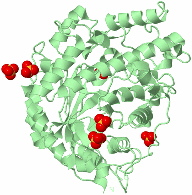 Image Biological Unit 2